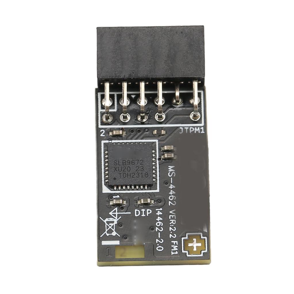 Modul TPM2.0 TPM SPI 12pinový šifrovací bezpečnostní modul s SLB 9672 pro základní desky MSI pro