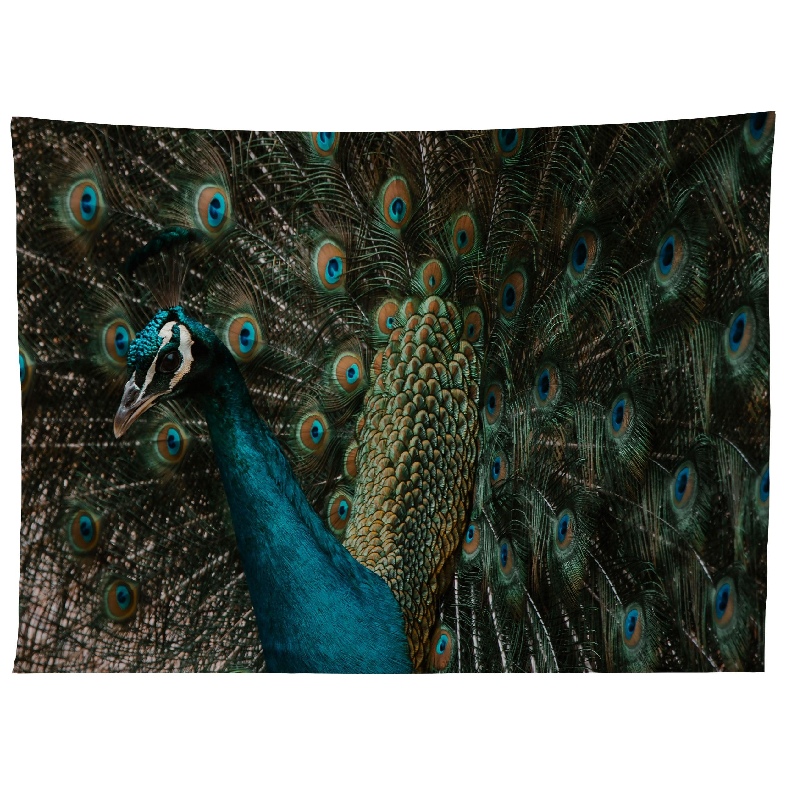 PEACOCK AND PROUD IV tapestry 75x100
