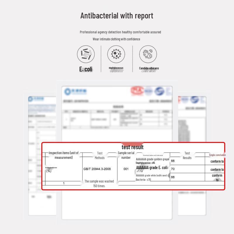 Threegun Women's Cotton High-Waist Briefs