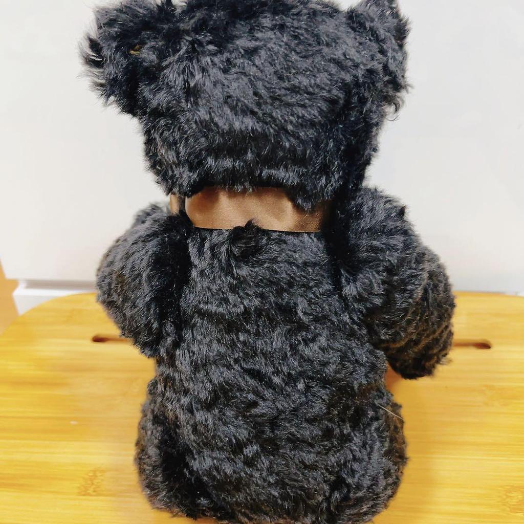 [USED] Steiff Boggy Creek Bob Bear Limited Edition Teddy Bear with White Tag and Red Lettering