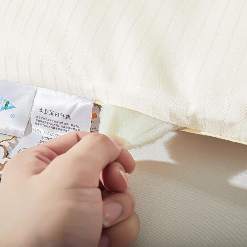 Qixiai Jacquard Soybean Fiber All-Season Duo Duvet