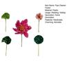 Finished Pipe Cleaner Flower Bouquet 2 Lotus Flowers 3 Lotus Leaves Artificial Chenille Stems Flower Craft for Vase Handmade Fake
