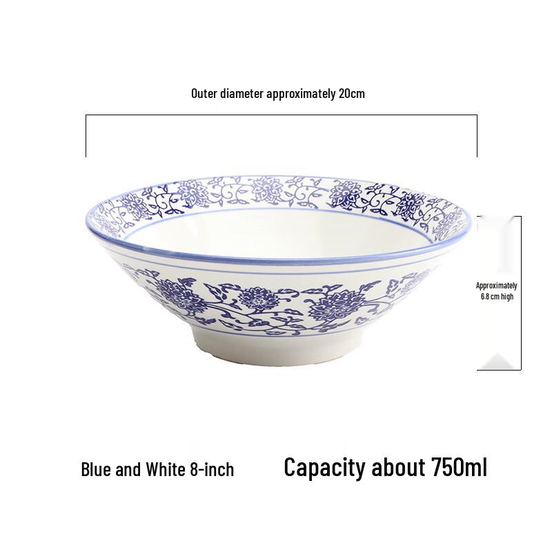 Blue and White Ceramic Noodle Bowl