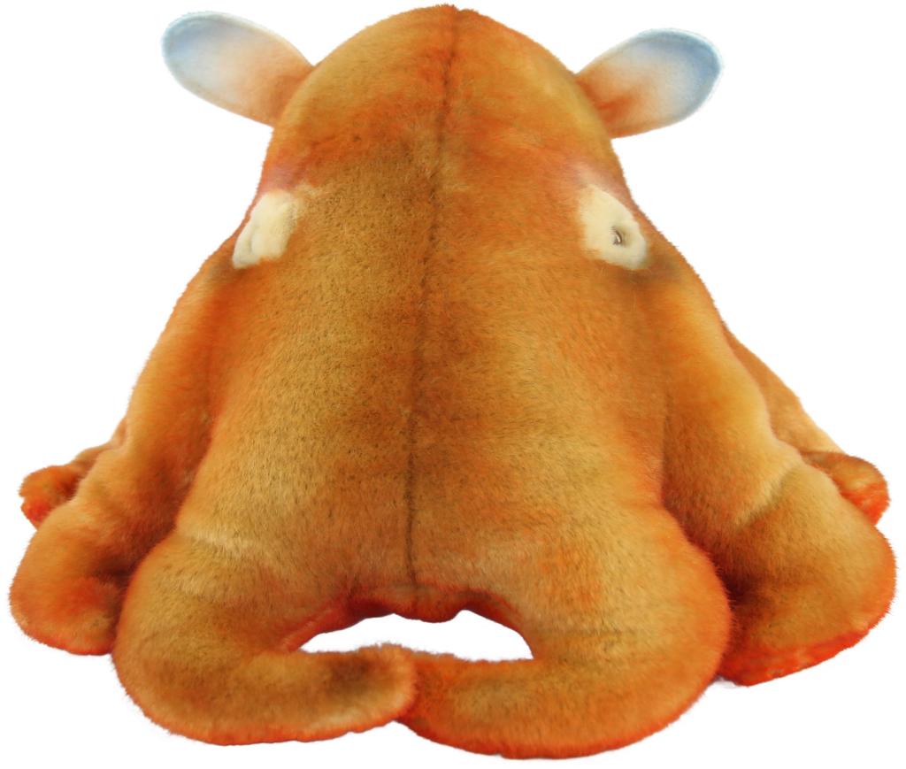 BH8587 HANSA Octopus 27
