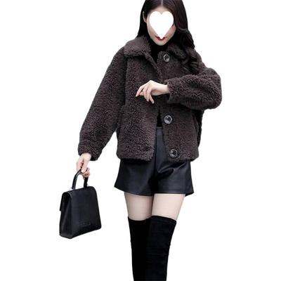 Pelz All-in-one Mantel für Damen Herbst und Winter Lammfellmantel Koreanischer Stil Lockerer Mantel