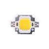 1Pc Cob Led Light Dc Led Bulb Chip On Board 10W 20W 30W 50W 70W 100W 2 Colors