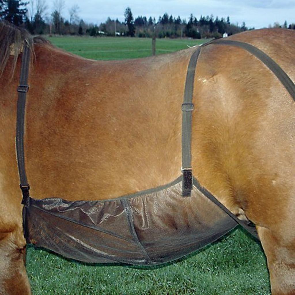 Soins anti-insectes pour cheval