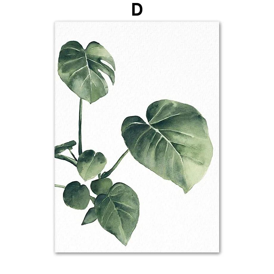 

Пальмовый лист, тропические листья, принт, холст, живопись, акварельные постеры, минималистичные настенные художественные фотографии, интерьер гостиной, домашний декор 40X60cm No Frame