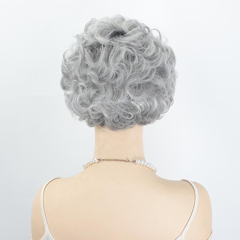 Wig European and American new women's short curly hair, middle-aged and elderly grandma gray curly hair wig cover rose net spot