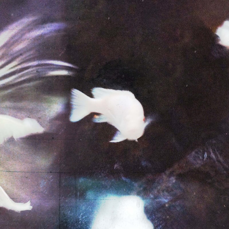 

2nd floor - EP: Wet sleeves