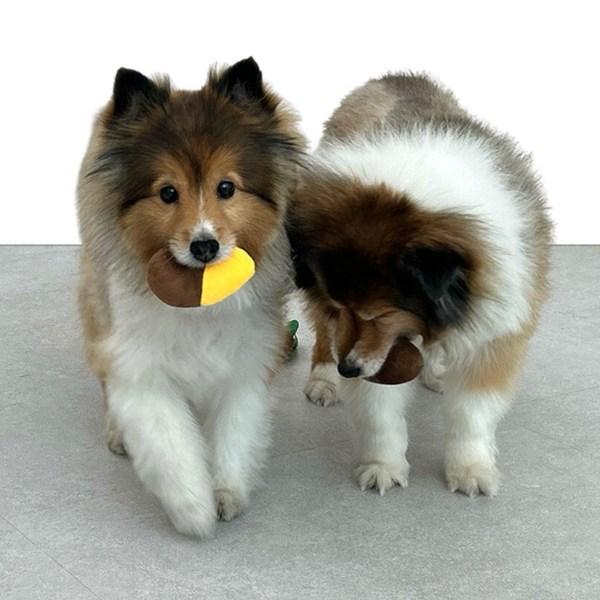 Kuishi Carrot Field Sweet Potato Field Nose Work Squeaky Rustle Pocket Toy, 1 Piece, Mixed Colors