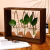Plant Glass Container With Wooden Stand Planters Vase Hanging Flower Hydroponic Vase With Wooden Frame Home Decoration Gift