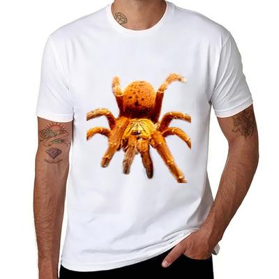 OBT Pterinochilus Murinus Orange Baboon Tarantula TShirt Unisexs Graphic T Shirts Funny T Shirts Dark Humor TShirt