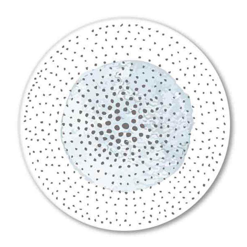 6Pcs/Set Coasters Heat Resistant Non-Slip Drink Cafe Decoration 2D Flat Coasters Anti-Scalding Insulation Pads