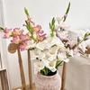 Creative Multicolor Gladiolus Artifiical Flower Silk Petal Green Leaves Simulation Flower Ornament Photo Props Faux Flower Gift