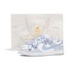 Nike Dunk 'Pure Platinum' Leather Slip Resistant Abrasion Resistant Low top Skateboard Shoes Men's Gray Blue DV0831-101(Team32-SBOX)