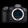 Canon EOS R Series Mirrorless Cameras & Accessories (CN Version)