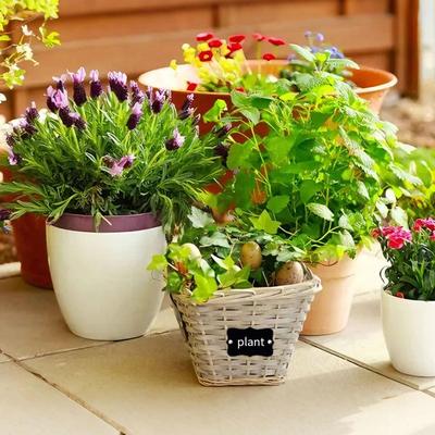 6 Pieces Basket Labels Pantry Sign Basket Tags Labels for Storage Bins for Whiteboard Storage Cubes Office Classroom