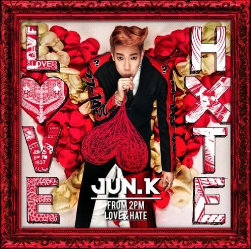 

CD - LOVE&HATE (First Press Limited Edit Japan ObiPop Used