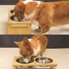 Yoshiki Kobo Make Your Dog and Eating Habits Comfortable Bamboo Pet Dish Table Dog Feeding Table Dog Cat Food Bowl Rice Plate Water Bowl Food Bowl