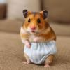 Absorbent Squirrel Physiological Underwear Breathable Groundhog Briefs Period Panties  Incontinence