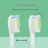 Shangheng SHZH-039 Sonic Electric Toothbrush CN plug (adapter included)
