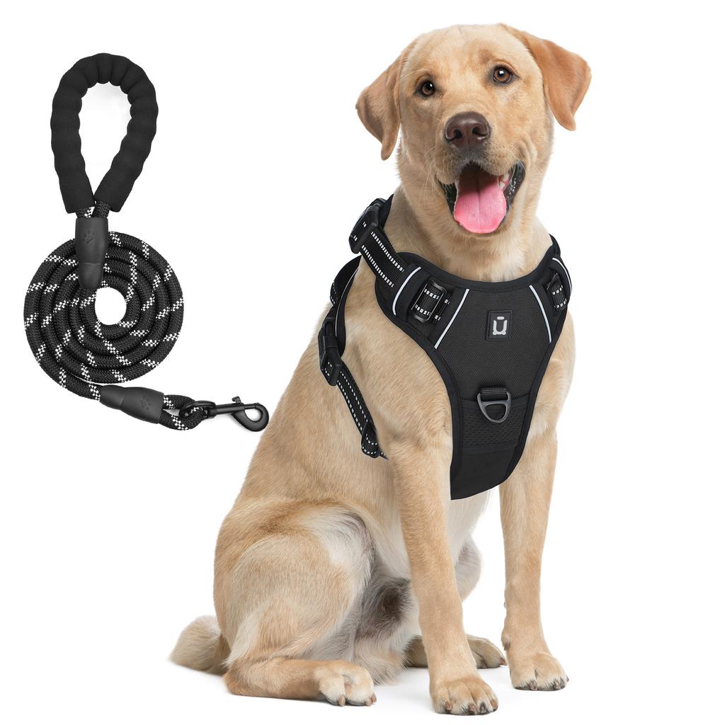 Dog Harness and Leash Combo, Escape Proof No Pull Vest Harness, with 5 Feet Leash, Reflective Adjustable Soft Padded Pet Harness