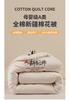 All Cotton Xinjiang Cotton Handmade Quilt Core