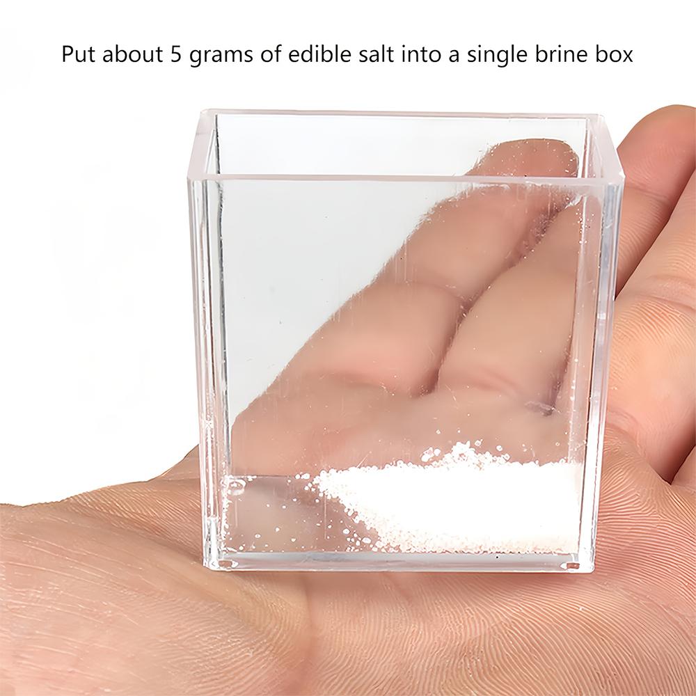 Salt‑Water Power Generation Experimental Box with Electrodes Physics Chemistry School Classroom DIY Science Experiment Supplies