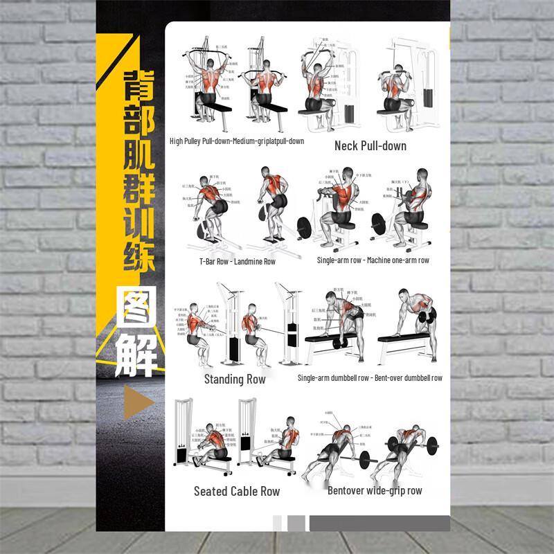 Fitness Training Pose Action Charts (PP Adhesive 40x60cm)