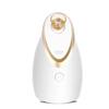 K-SKIN Nano Hot Mist Facial Steamer & Humidifier
