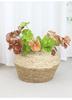 Rattan Woven Flower Basket: Hand-Held Green Plant & Flower Pot, Living Room Decoration & Storage Solution.