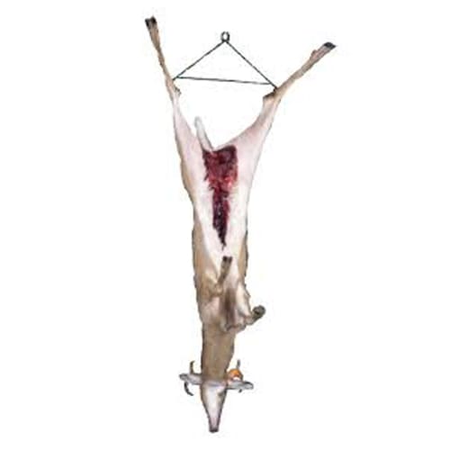 Tourbon Big Game Hoist for Hunting, Hanging and Butchering Game, Pulley & Hanger, Gambrel Deer Tool