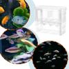 Double-Deck Fish Breeding Isolation Box Clear Fish Breeder Box  Shrimp