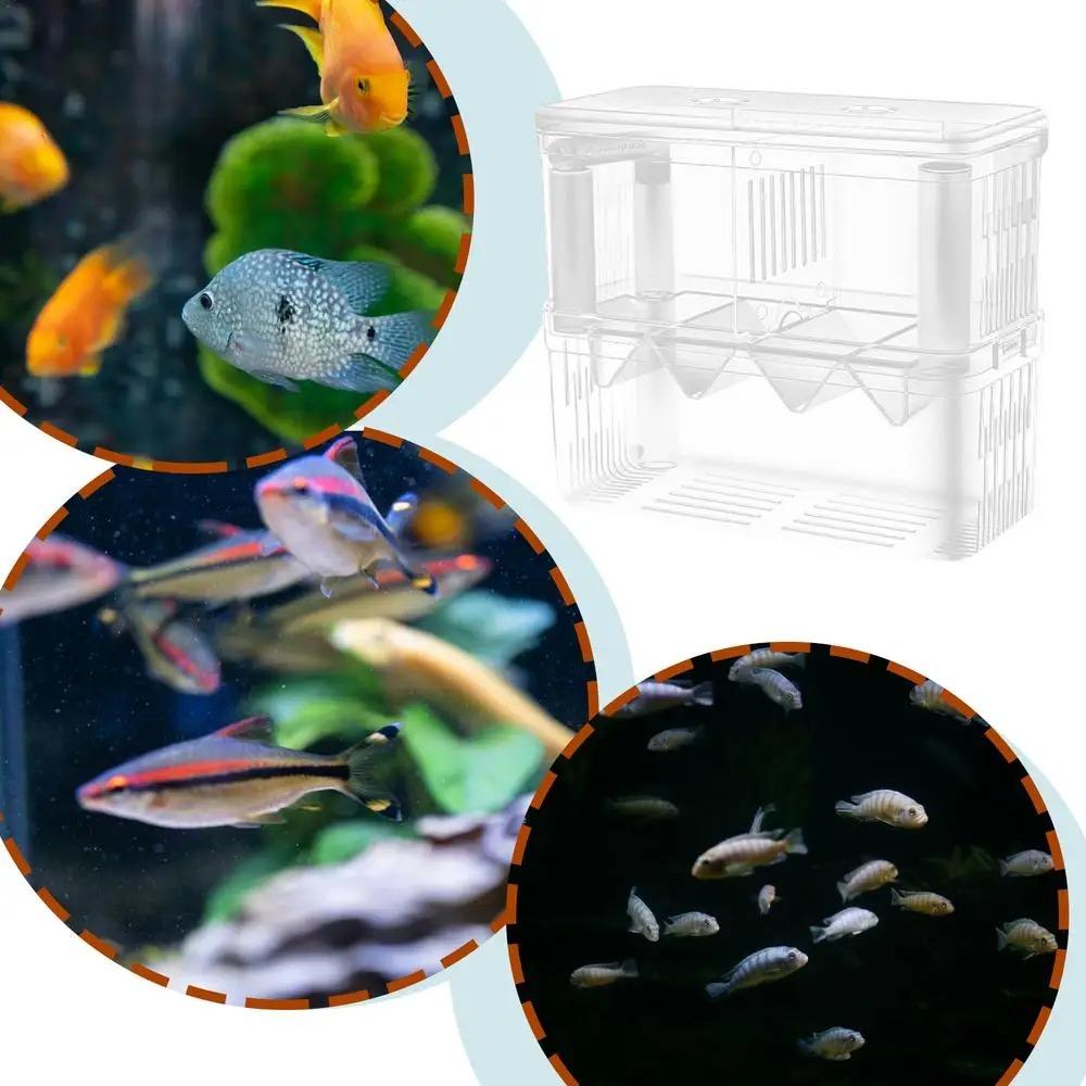Double-Deck Fish Breeding Isolation Box Clear Fish Breeder Box  Shrimp