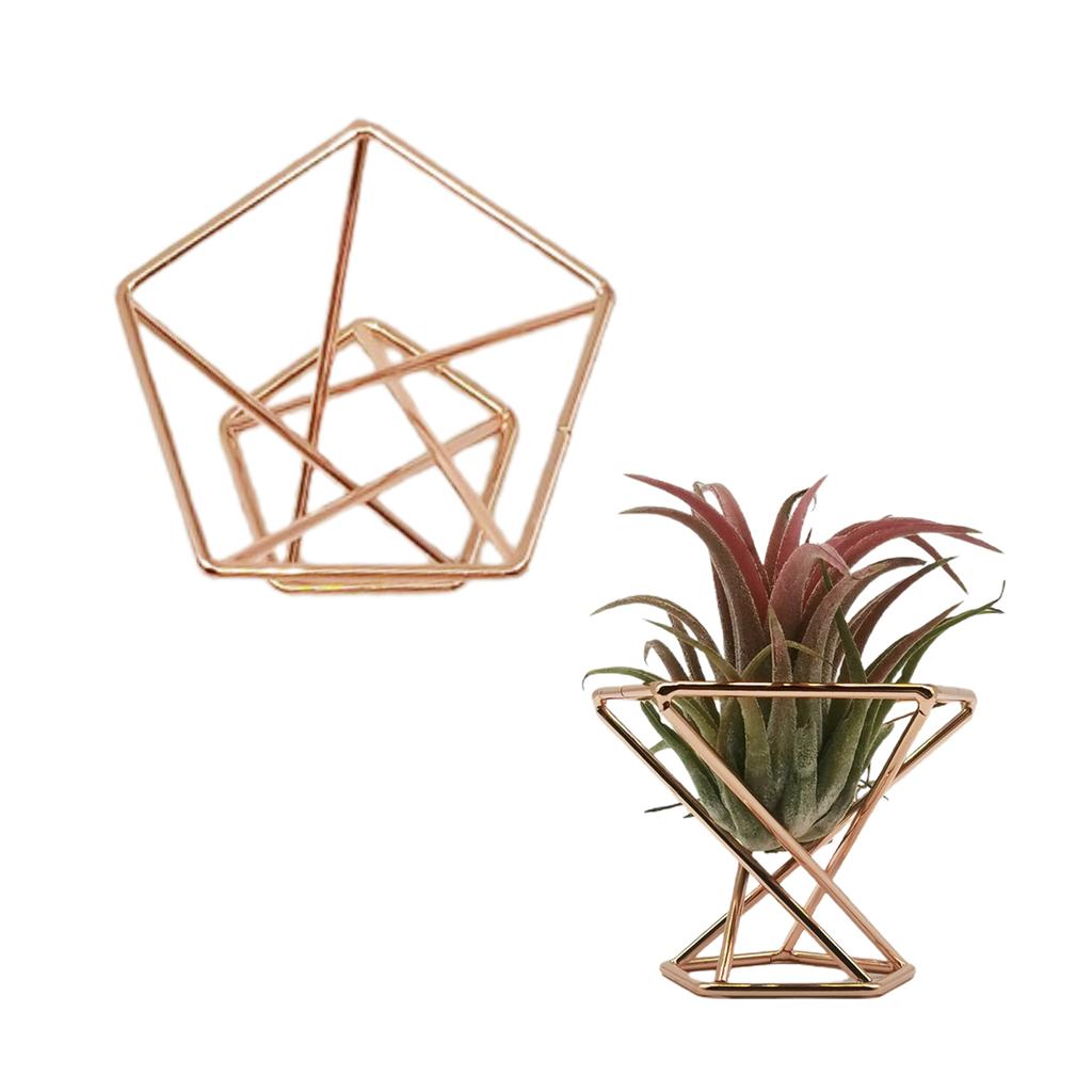 Ananas Pflanzenständer Geometrischer Luftpflanzenständer Puderdosenhalter Roségold (Material: Metall, Größe: Durchmesser 55MM)
