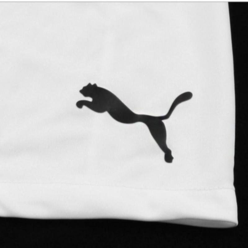 Puma Team Final 21 Knit ShortS  70425704  Men S ShortS