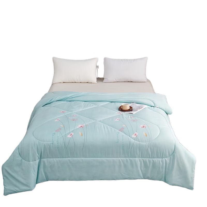 Beigeman Warm Cotton Anti-mite Quilt