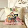 Brand Ccasetify Cushion Cover Pillow Case Antidustmite Pillowcase Silky Short Plush Sofa Cushion Cover Hot