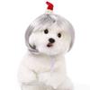 Are 10 Here Suggested Titles For The Pet Wig Product Based On The Information Provided