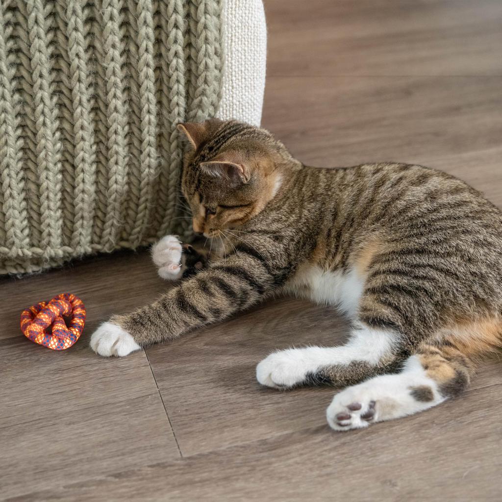Catstages Petstages Dental Pretzel PTPS333