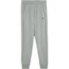 ESS SWEAT PANTS TR CL M Casual Pants Men's Gray 848733-03