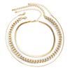 Simple Punk Style Thick Chain Neck Chain, Creative Snake Bone Chain Set Necklace for Women