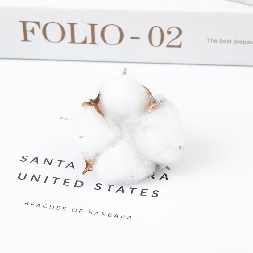 

Натурально высушенный хлопок Дешевые искусственные растения Цветочная ветка Вазы Свадебный Сад Вечеринка Декор Горячая распродажа Домашняя атмосфера Цветы 6pcs