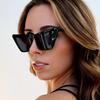 European American Stylish Man Sunglasses Fashion Cat Eye Shape Women's Sun Glasses Driving Hiking Women's Sunglass