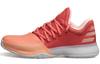 Harden Vol. 1 'Chalk Coral' AH2119