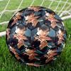 Cha Eun Woo Thema Größe 5 Fußball, Geeignet für Indoor- und Outdoor-Spiele, ein Geschenk für jeden geeignet.