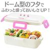 Skater Antibacterial Bento Box with Domed Lid, 530ml, Made in Japan, Made with Haimaizoo (PFLB6AG-A)