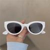 Cute Sexy Retro Cat Eye Sunglasses Woman Small Frame Black Gradient Ladies Sun Glasses Vintage Brand Designer