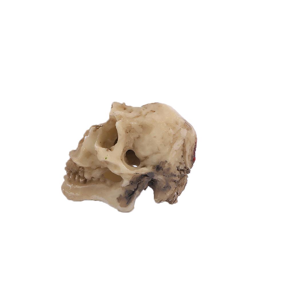 Skull Bones Aquarium Decor Fish Tank Decoration Aquarium Landscape Decorative Landscaping